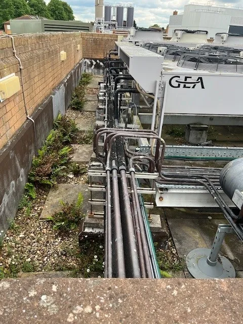 Glycol chiller system